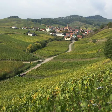 Caveau 1751 Niedermorschwihr