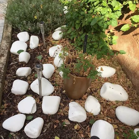 Caveau 1751 Apartament *