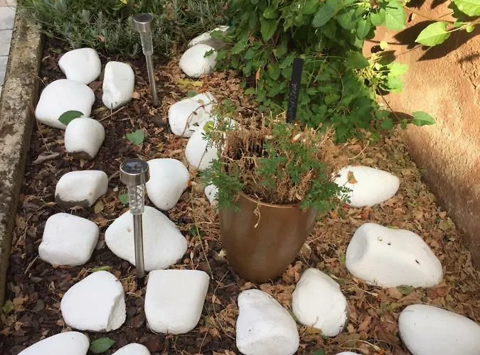 Caveau 1751 아파트 *